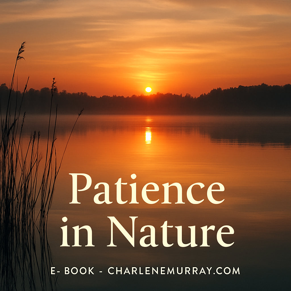 A serene sunrise over a quiet lake, symbolizing patience and hope. Alt: Patience in nature