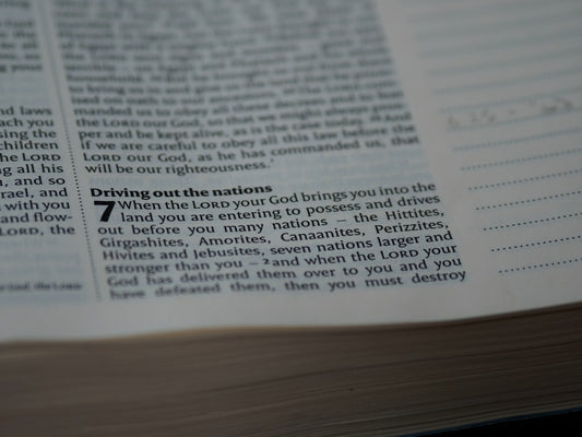 God's purpose earthly laws
