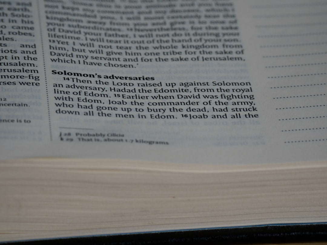 Judgments During Our Life Span E-Book