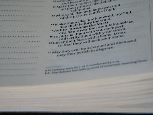 Benefits of Doing God's Will E-Book