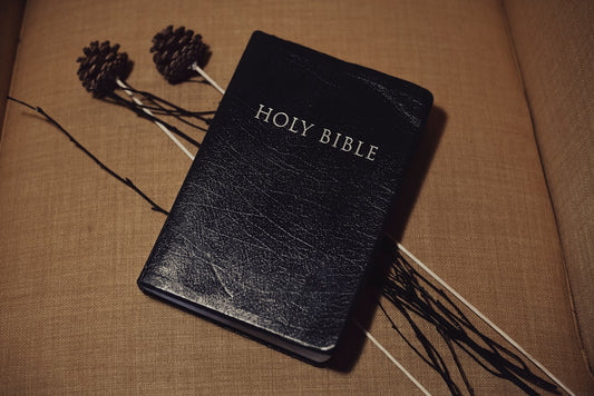 THE BIBLE E-BOOK PDF