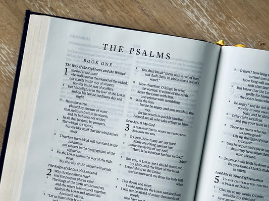 Seamless Scripture Study: Exploring the Digital Advantage of THE BIBLE E-BOOK PDF