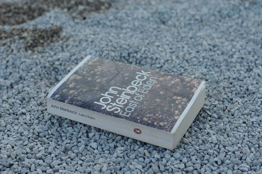 Unlock Ancient Wisdom: How the ADAM E-BOOK Reveals Your Spiritual Identity