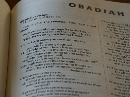 What Defines a True Prophet's Devotion? Exploring Charlene Murray's E-Book on Dedication to God