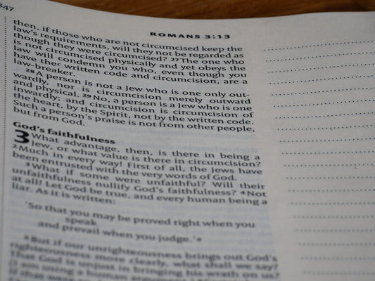 The Unseen History: How Charlene Murray's E-Book Illuminates God's Original Plan and Humanity's True Story