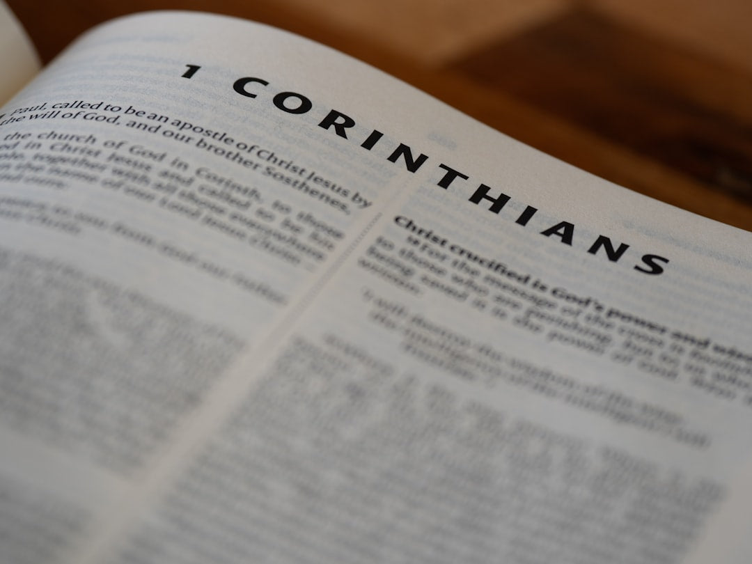 God's Original Plan E-book