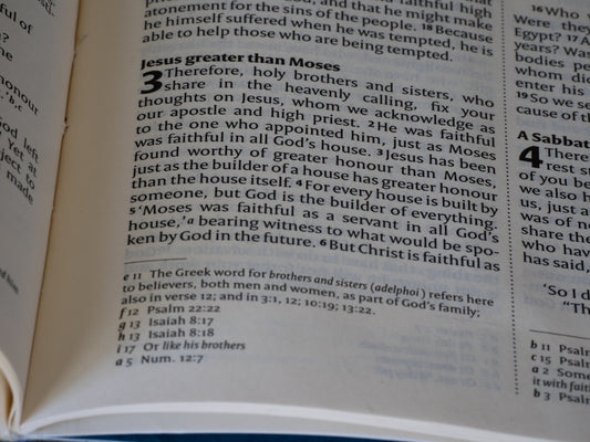 God's Forbearance E-Book