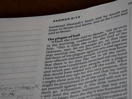 GOD'S KINGDOM E-BOOK PDF