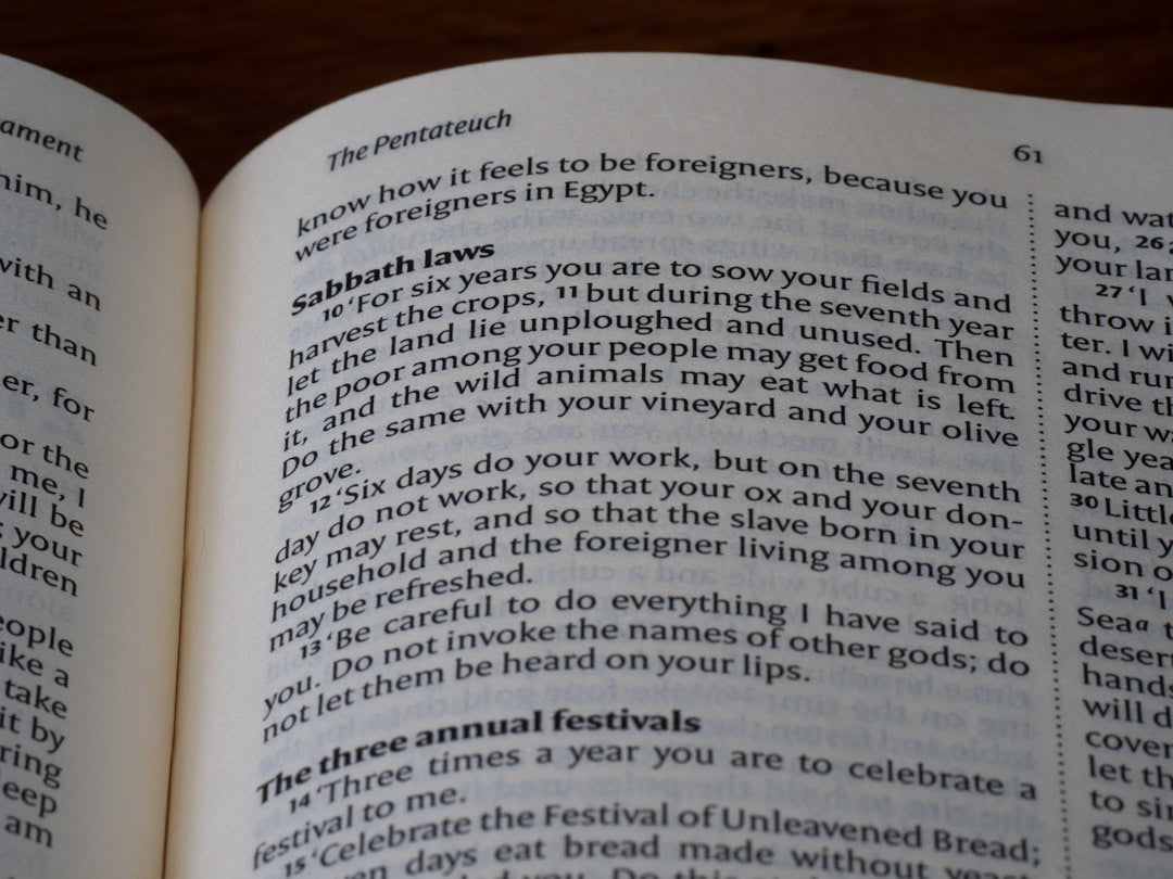 God's Kingdom e-book