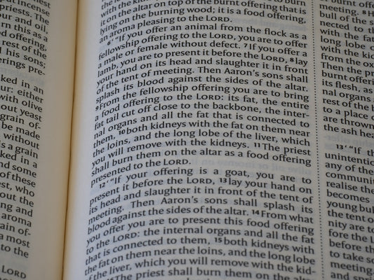 God's Eyes Earthly Laws