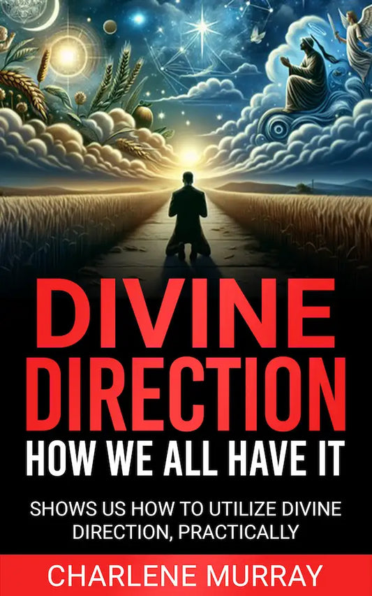Divine Direction How We All Have It ebook cover